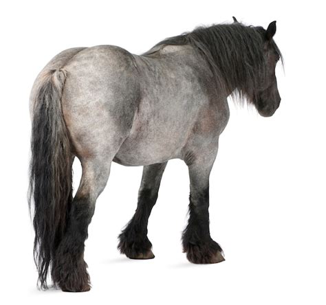 南京手游创业人生攻略 网络信息技术推广服务的制胜之道