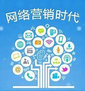 网络信息技术推广 创新与实践的百例典范